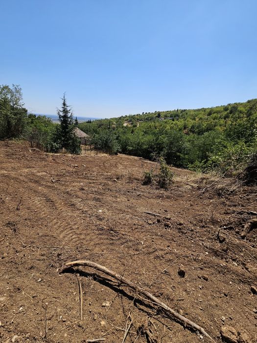 Панорамен парцел