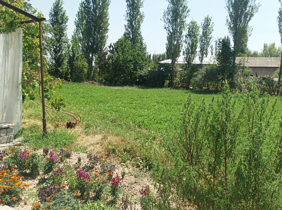 Продаются срочно дом