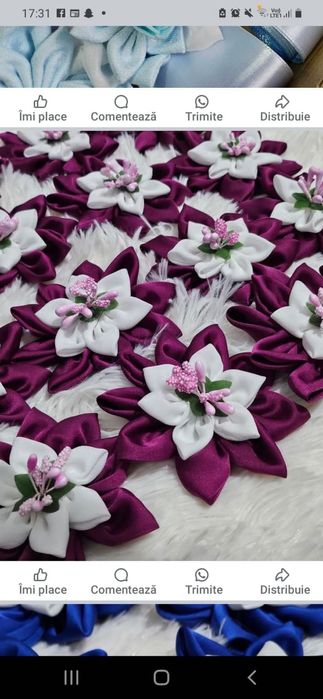 Panglici ,cocarde clasa a-VIII-a 25 Lei