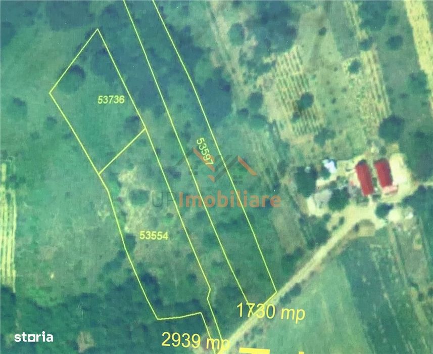 Teren Extravilan  |  2939Mp |  Uileacul De Cris | Bihor