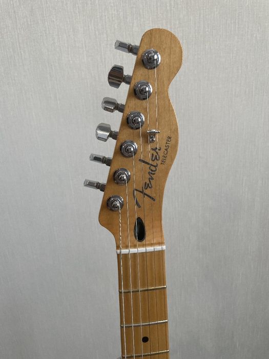 Fender player telecaster plus