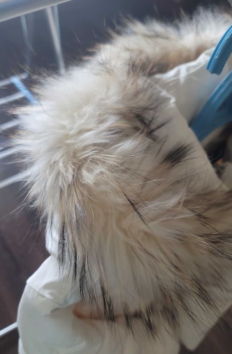 Продам женскую куртку (белую) размер L/100