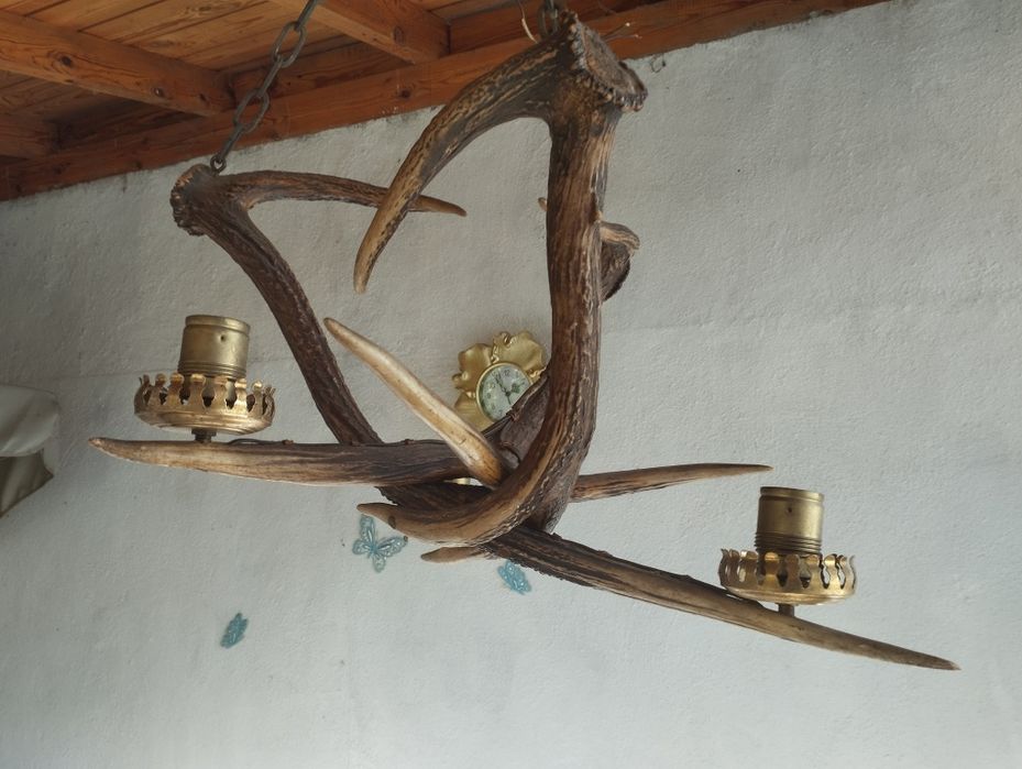 Стар полилей от 3 еленови рога