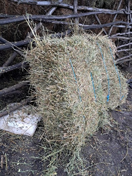 Baloti de lucerna, fân și paie de vanzare