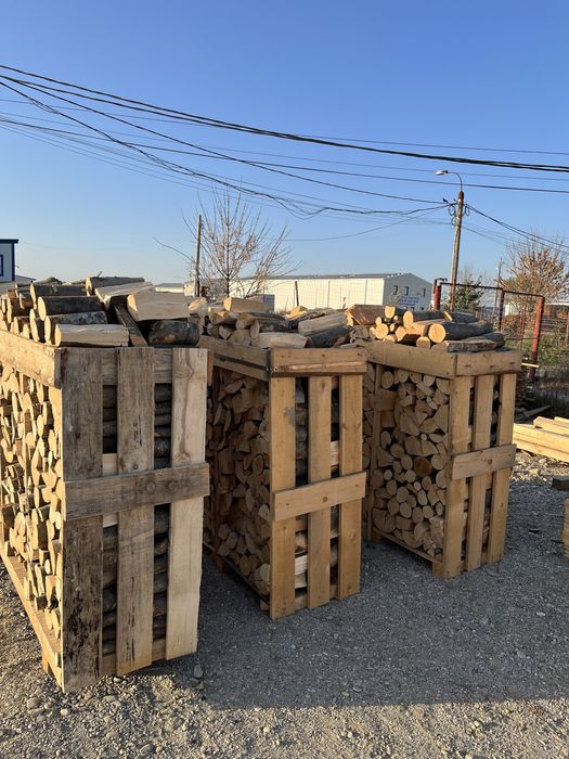 Cherestea rasinoase !