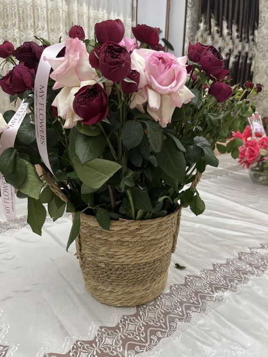 Цветы Шымкент, гүл,гул