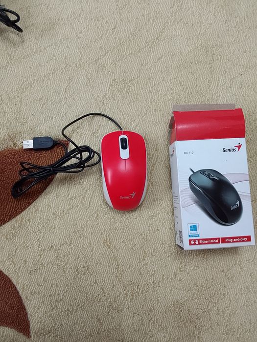 Мышка мышка мышка