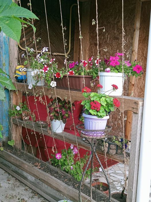 Продам дом в Красном Кардоне