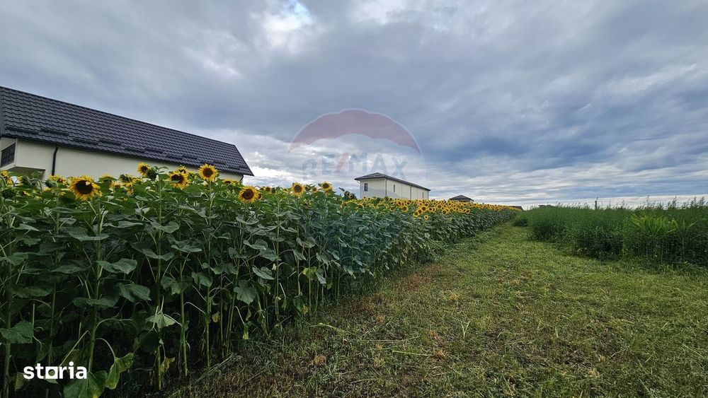 Teren intravilan 2600 mp de vânzare, Ipotești- Lisaura, Suceava