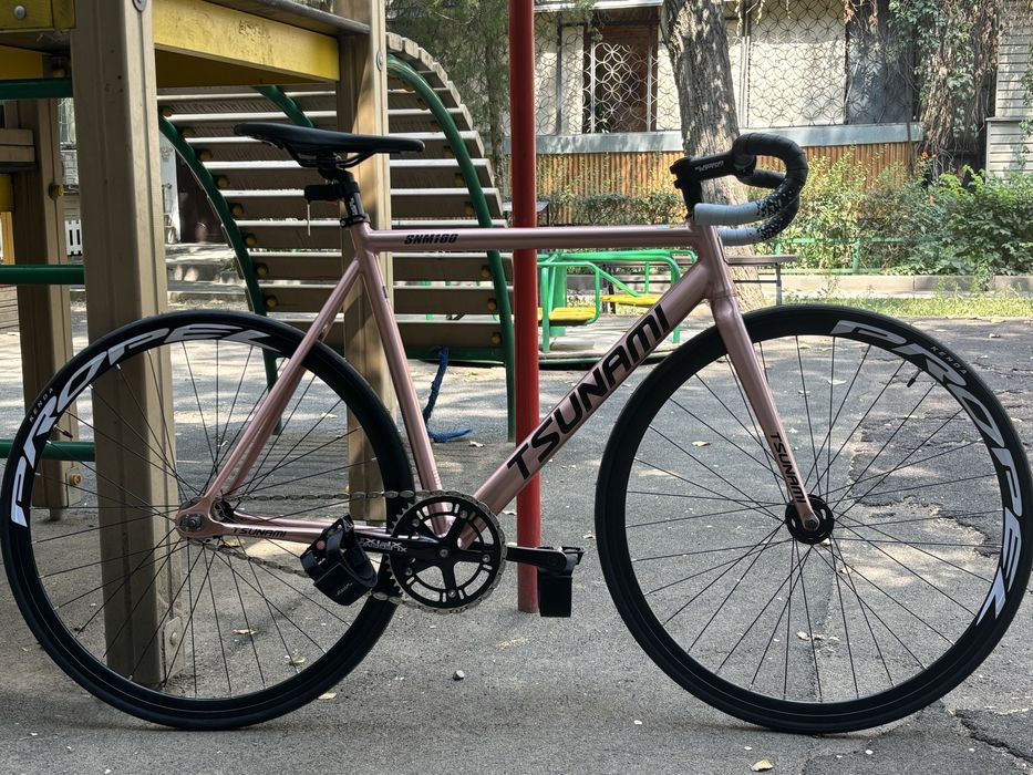 Фикс Tsunami snm100