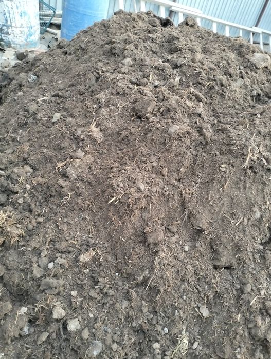 кум саз черназем кесек