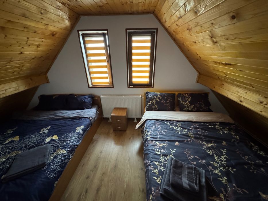 Cabana Ina Băile Figa