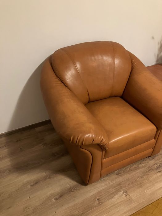 Fotolii din piele ecologică