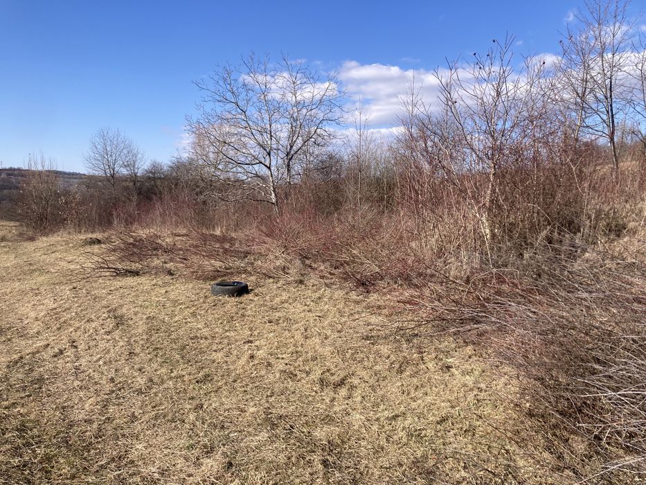 Defrisari terenuri, intretinere spatii verzi si demolari