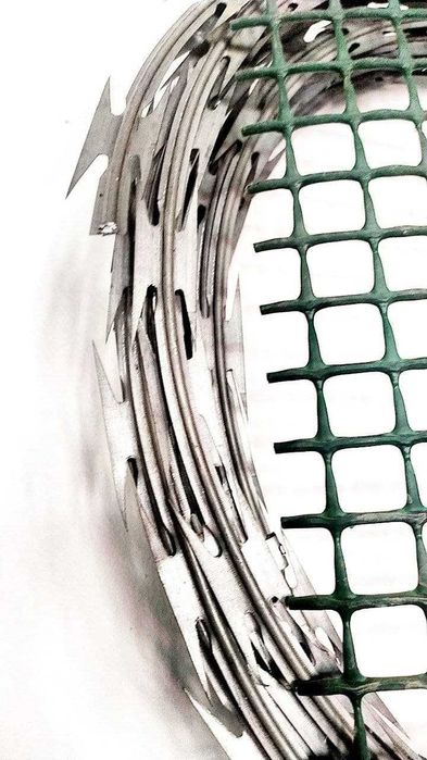 Егоза с сертификатом и колючая проволка объем есть!