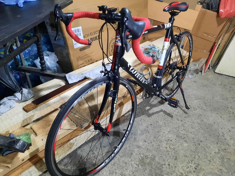 Cursiera Wilier Triestina