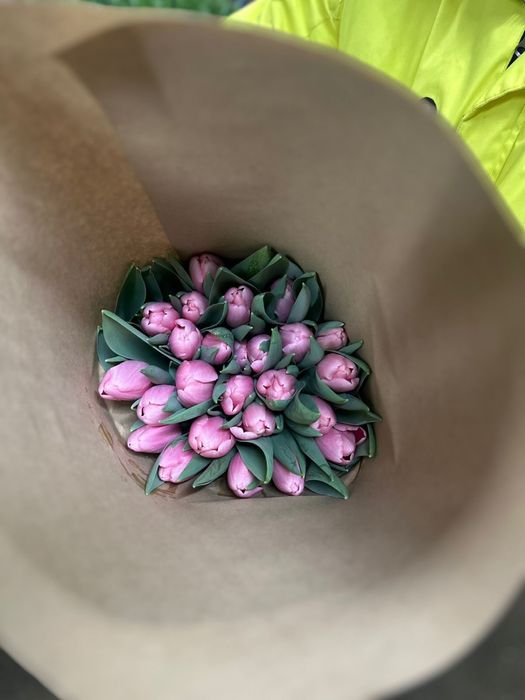 Тюльпаны к 8 марта