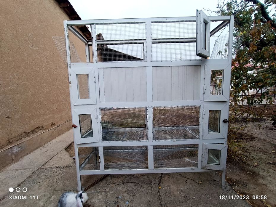 Quyon uchun qafas куйон учун клэтка