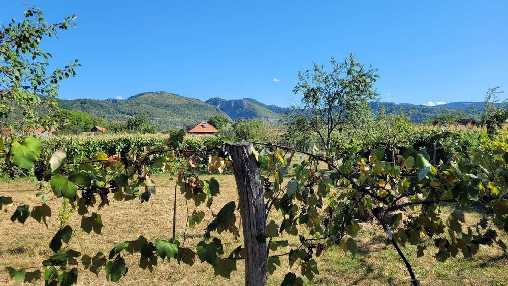 Casa de vanzare in statiune turistica + teren