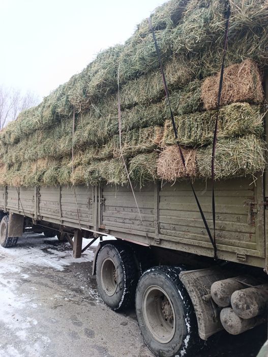 Продам клевер перемешку травой