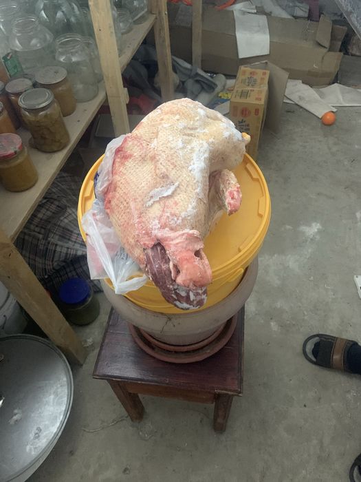 Продам тушу утки по 3400