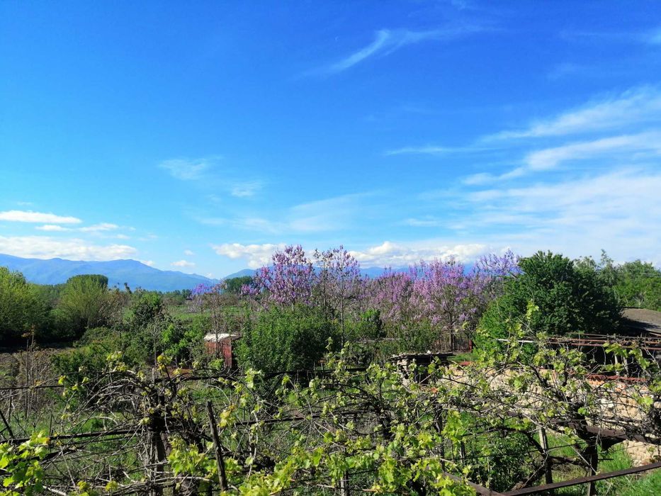 Продава се Къща в с. Говедаре, Област Пазарджик - 140 кв.м за 315 €/кв.м - Снимка #18