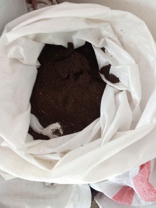 Биогумус. Тыңайтқыш.