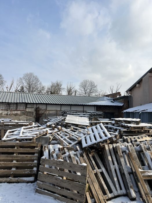 Евро палета и обикновени палета – изгодни цени