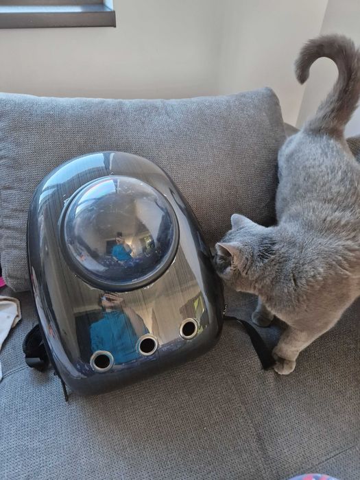 Ghiozdan transport caini si pisici