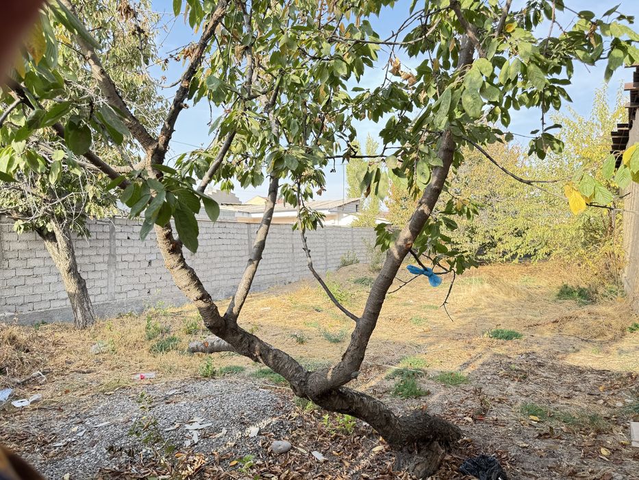Qibray Naberejniy Bahor toyxona atrofida Bo’sh Yer Uchastkasi 3 sotok