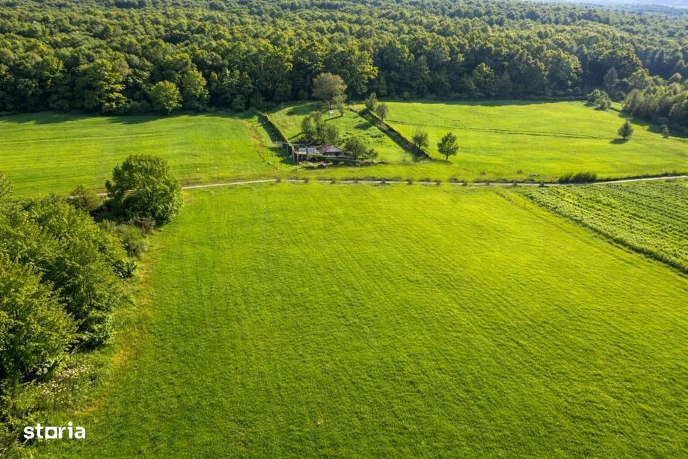 Teren extravilan 600mp Tocile de Jos