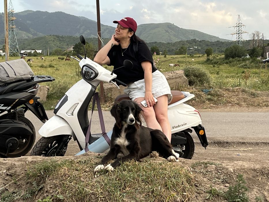 Raptor мопед скутер