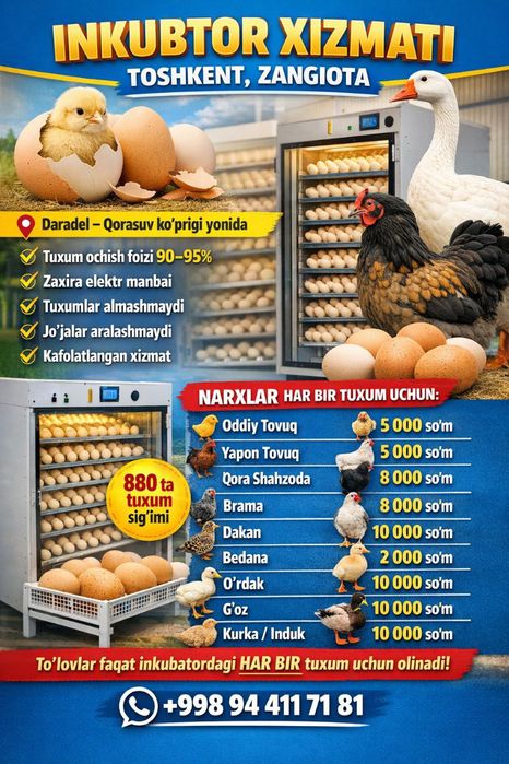 Inkubator xizmat