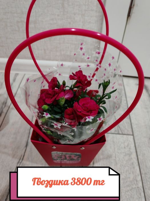 Бөлме гүлдері. Район Компоселок