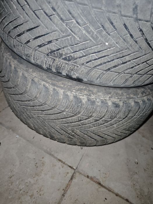 Roti de Iarna Laguna III