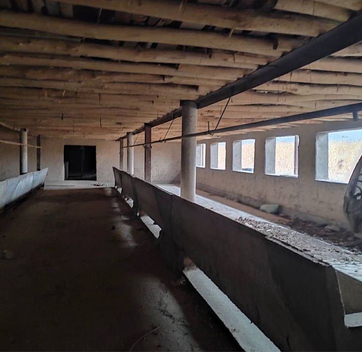 Готовый агробизнес: тепличная ферма в Назарбеке