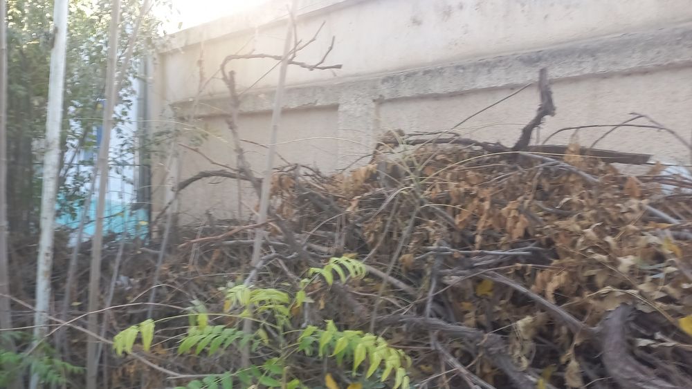 Utin bor maydalangan