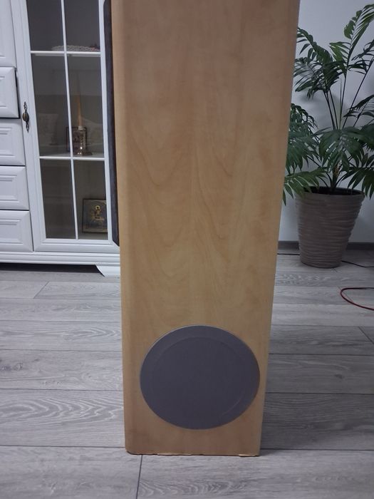 Boxe pasive Elac EL 80 II și Magnat monitor 990