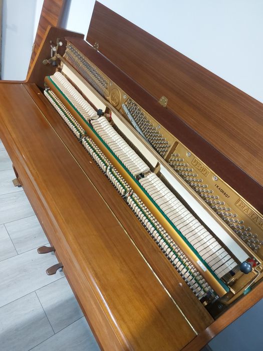 Pianina Maeari (transport gratuit  & garanție)