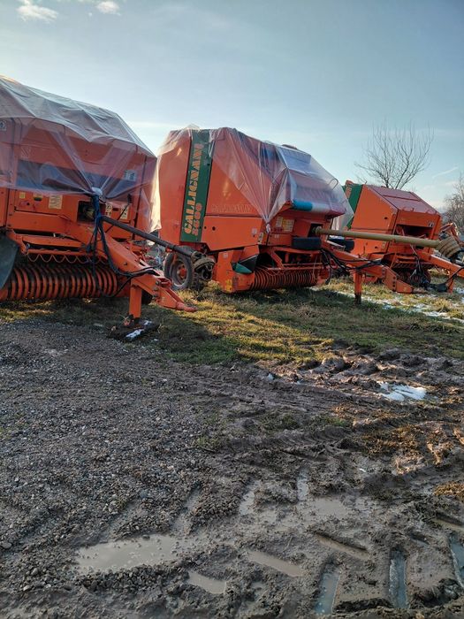 Balotiera galigniani