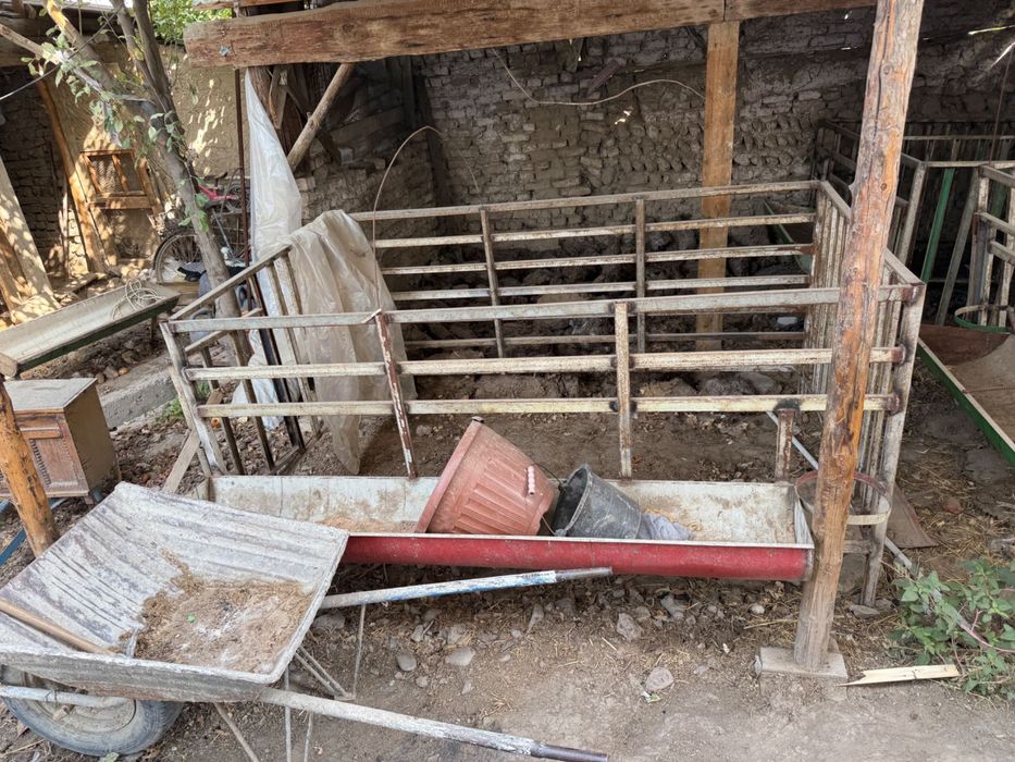 Клетка куй катак