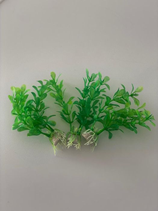 Аквариум новый