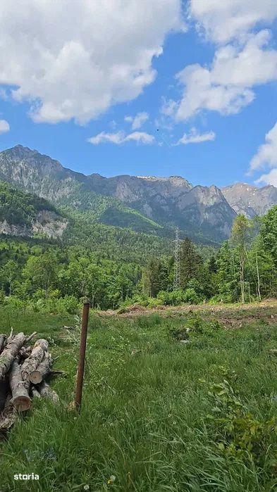 Teren intravilan, 1000 mp, proiect duplex P+E, zona Sinaia - Zamora