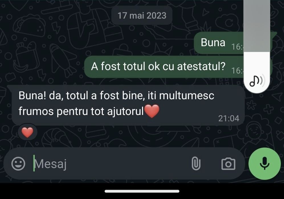 Realizez teme, proiecte, atestate