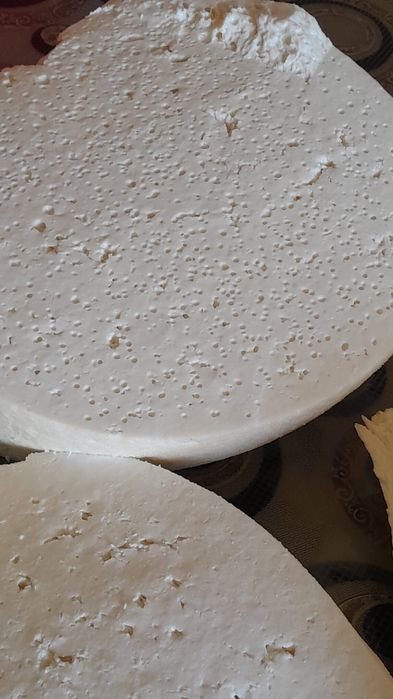 Vând caș de oaie 50 de lei kg