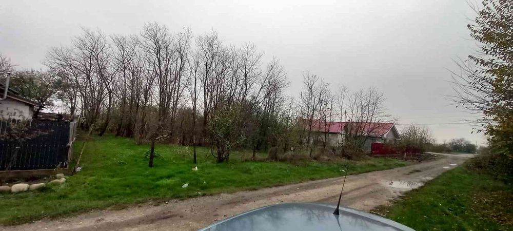 Teren vanzare Ialomita, Salcioara, Rasi