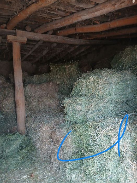 Беда пресс сотилади