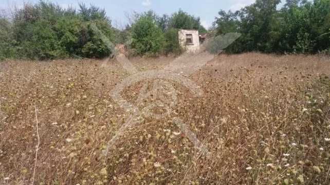 Продава се Парцел в с. Татарево, Област Пловдив - 1300 кв.м за 39 €/кв.м - Снимка #1