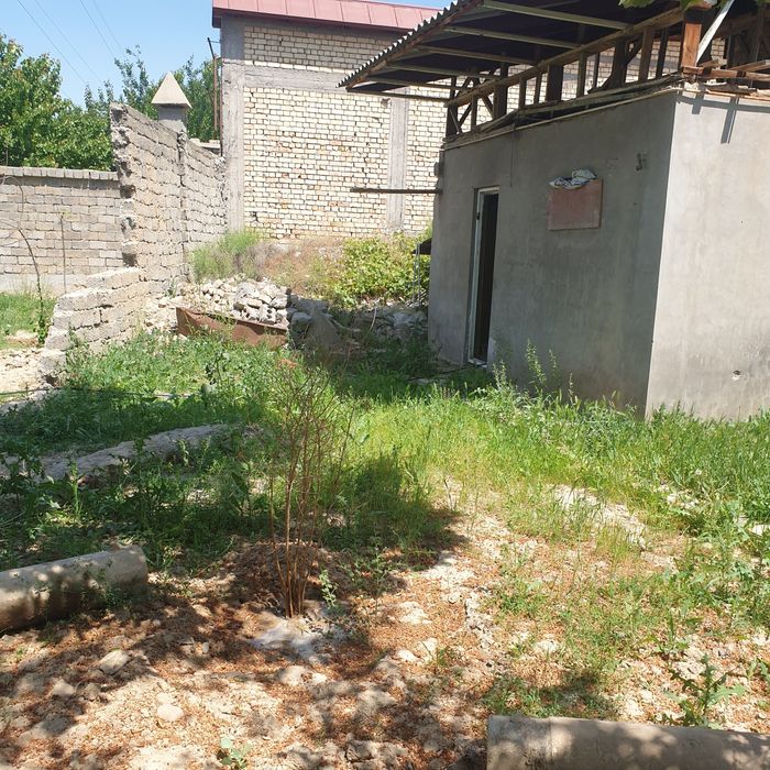 Арендага яшашга, складга ёки ишлаб чикаришга жой берилади, урикзор боз