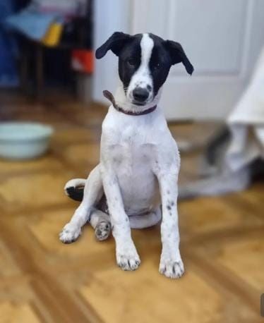 Вот такой мальчишка ищет дом.